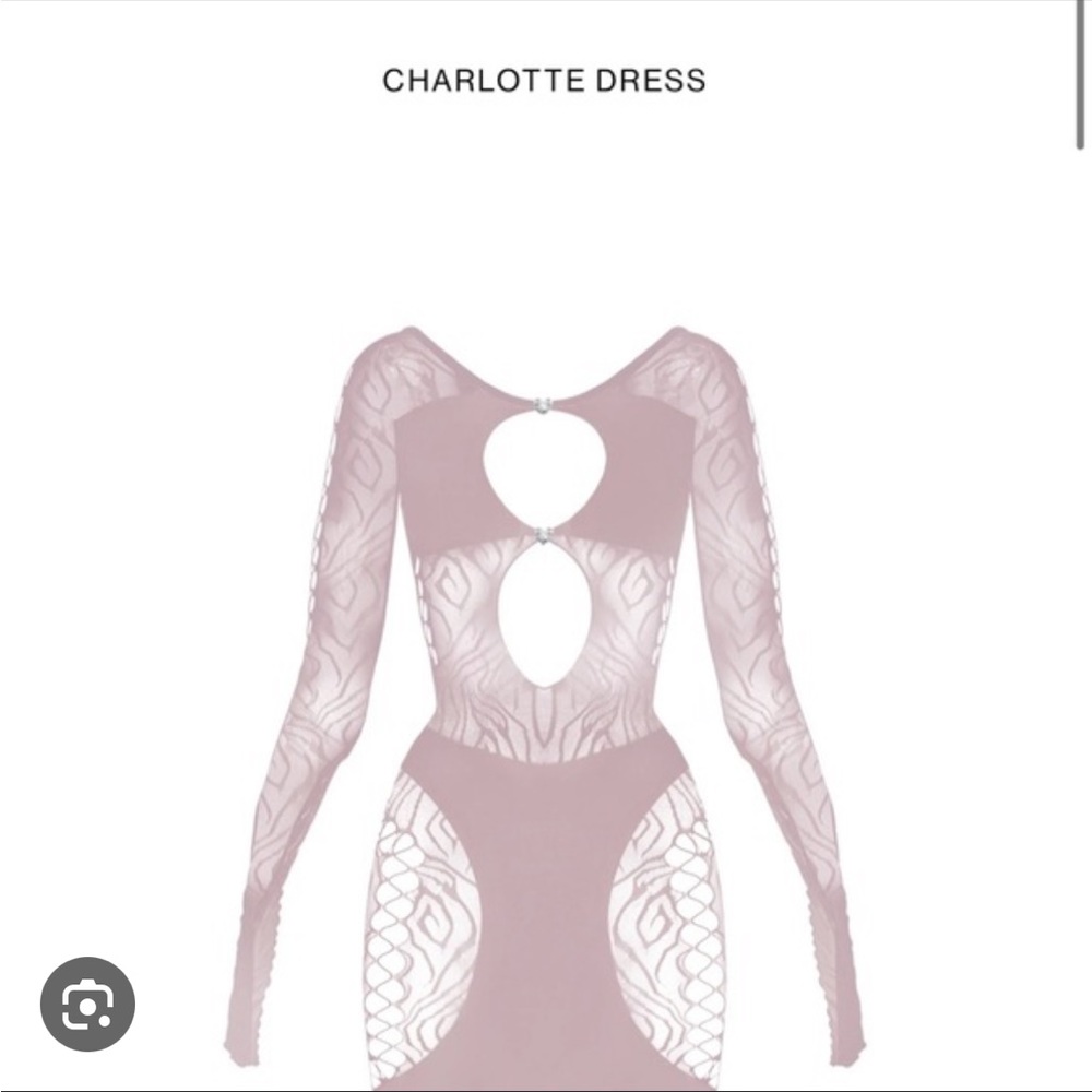 Authentic Poster Girl Charlotte Dress in Pink Dawn